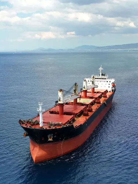 Bulk carrier at sea